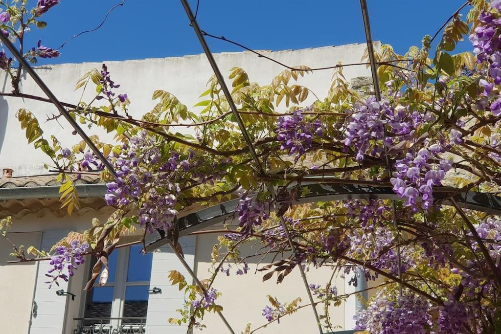 Maison De Charme - L'Intimiste Caderousse Esterno foto